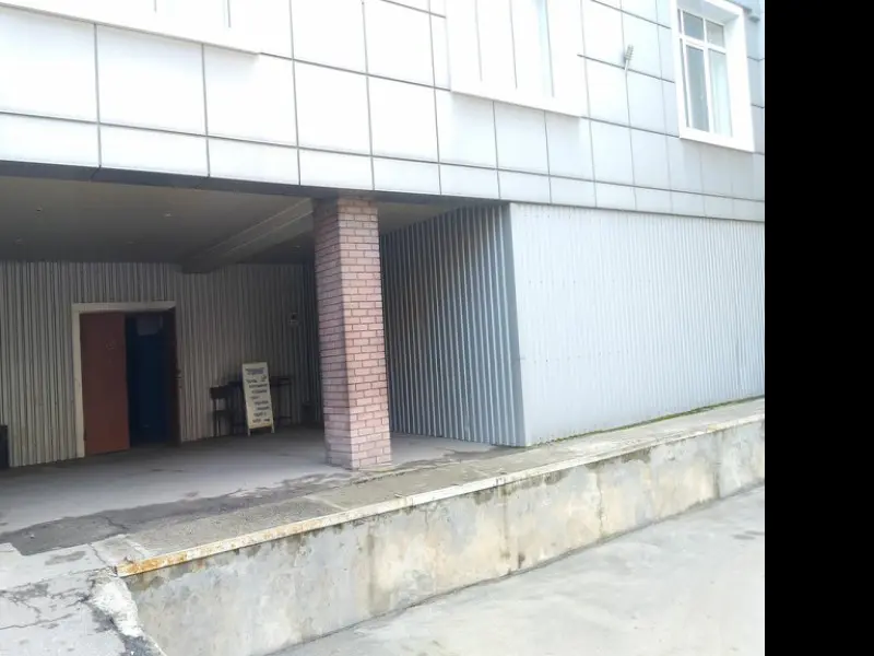 Фото Пушинка. Донецк